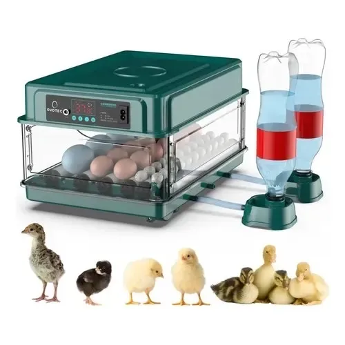 Vendo chocadeira de ovos 