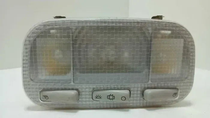 Luz De Teto C4 Pallas 2007/2013 Original