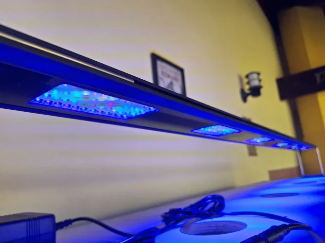 Luminária Forfish Marinha Linear 2ª Geração FF-140