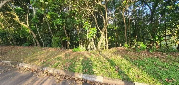 Terreno à venda, 1968 m² por R$ 790.000,00 - Granja Viana - Cotia/SP