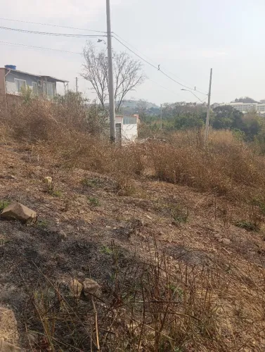 Oportunidade imperdível 