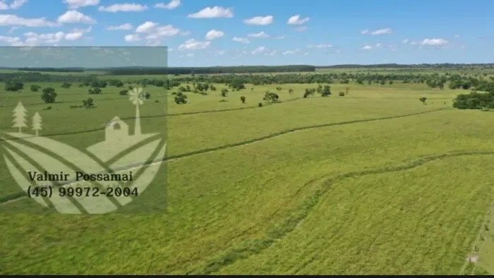 Fazenda em Amambai-Ms
