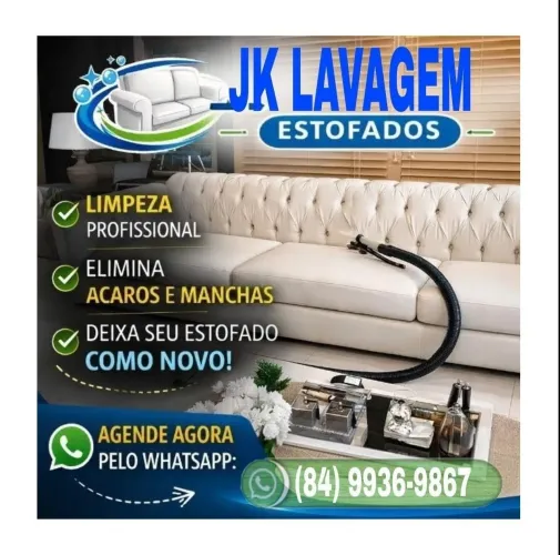 Lavagem a seco