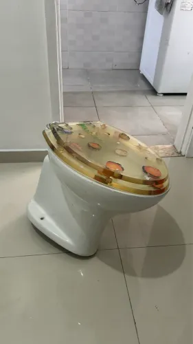 Vaso Sanitário
