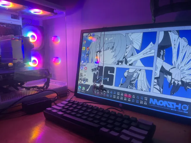 PC gamer