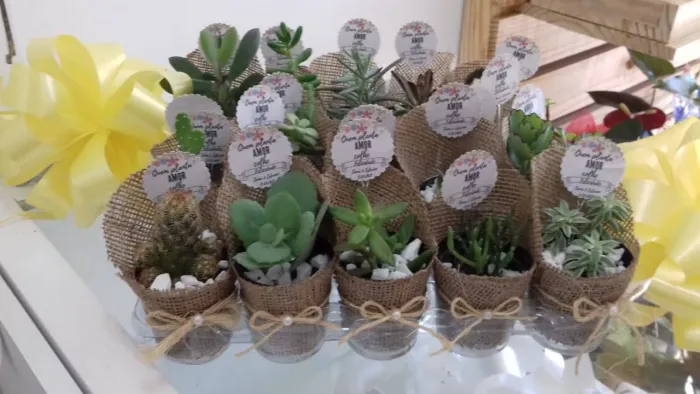 Lembrancinhas de cactos e suculentas 