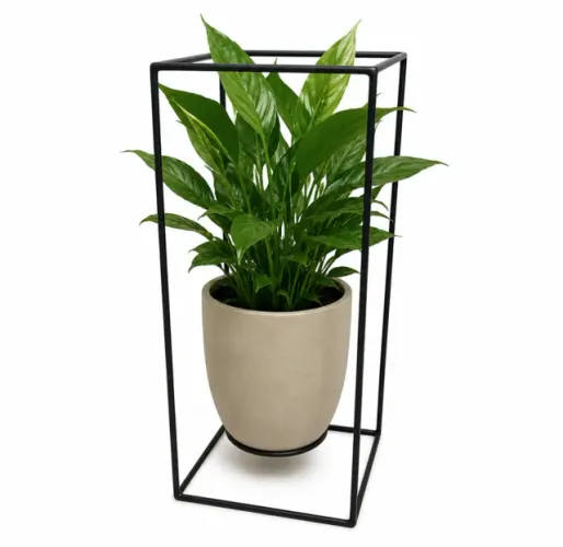 8 unidades de Suporte para plantas