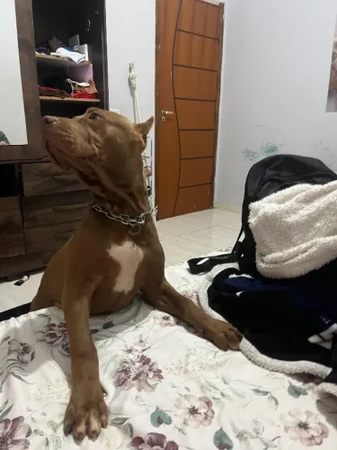 Pit monster