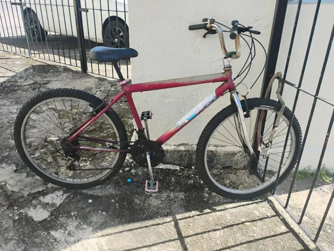 Bicicleta 