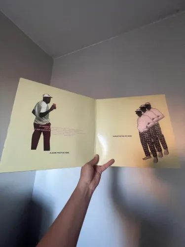 Vinil Flower Boy Tyler The Creator