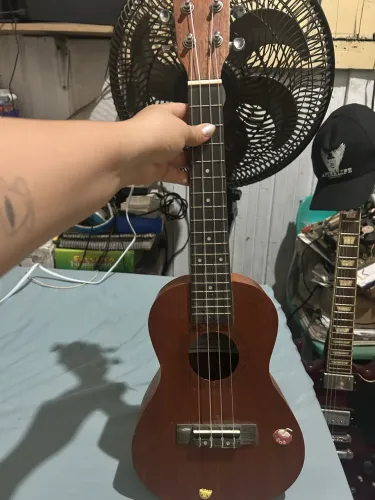 UKULELE - concert