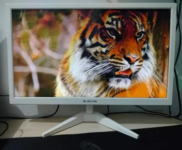 Monitor Bluecase Usado (Bom Estado)