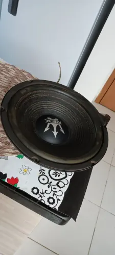 Subwoofer 10' 300rms Magnum REX