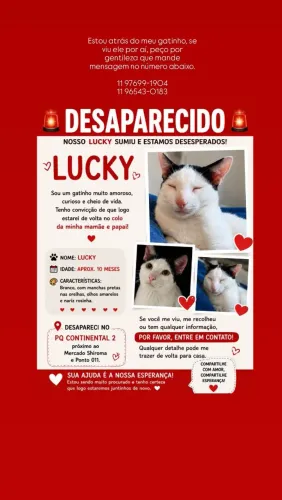 PROCURA--SE O LUCKY