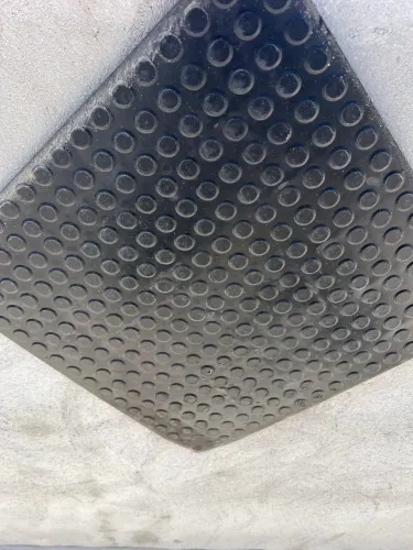 Piso Moeda/borracha