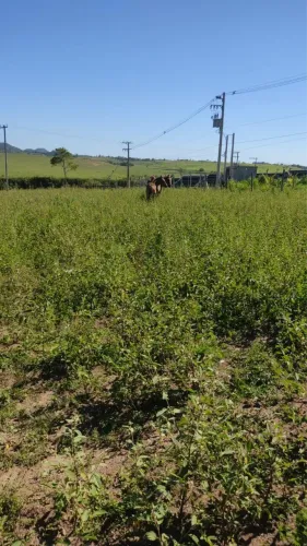 Terreno a venda - Carapebus