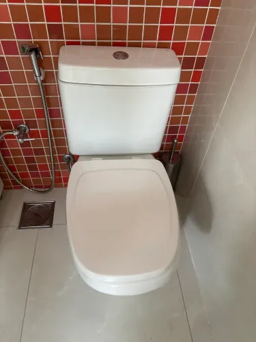 Vaso com caixa acoplada