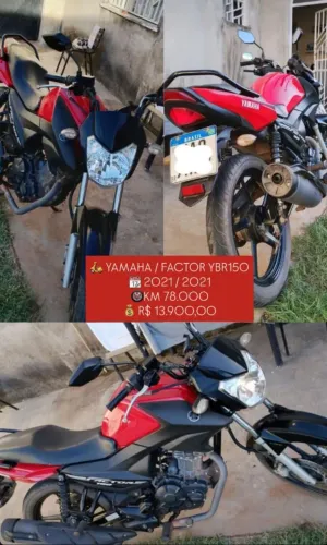 Factor 150 2021/2021