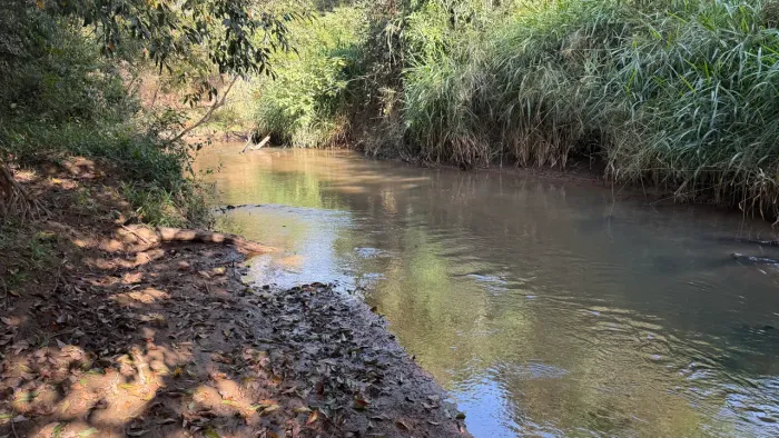 Chácara de 3mil mt com Ribeirão no fundo em Cristianopolis!
