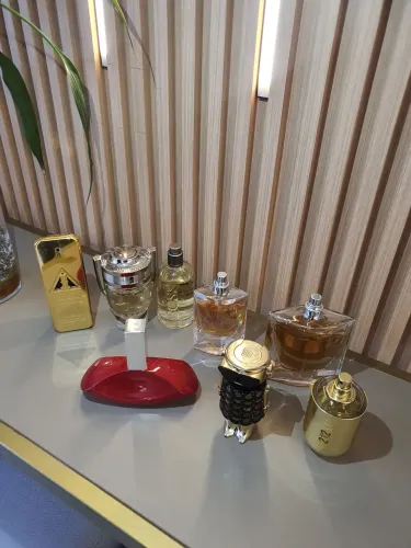 Torro lote de Perfumes