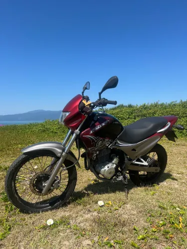 Falcon Raridade