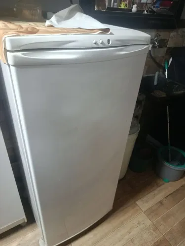 Freezer vertical