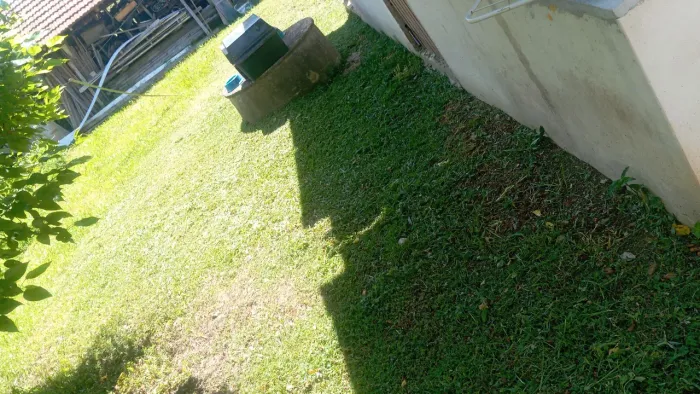 Serviço de rosadeira 