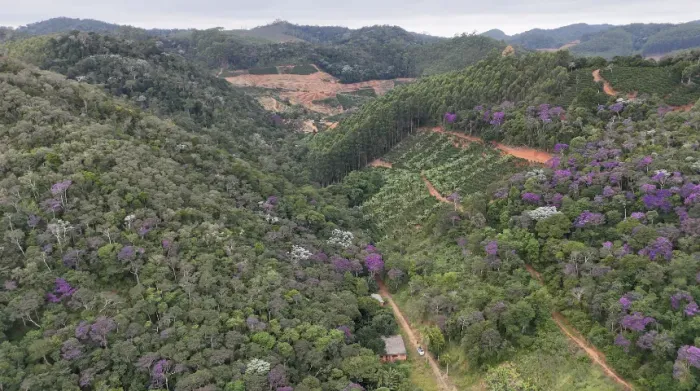 Terreno Santa Teresa/ES 290mil m2 com nascente
