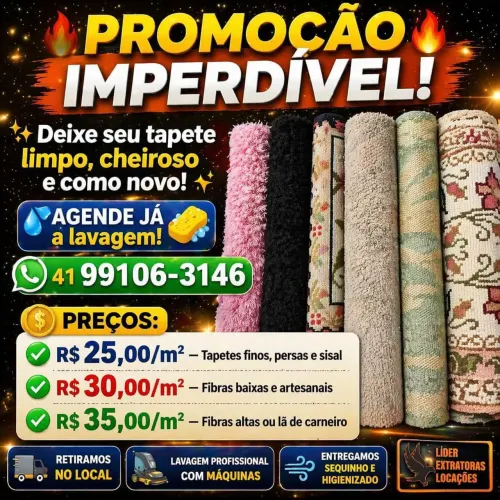 Nós lavamos seus tapetes 