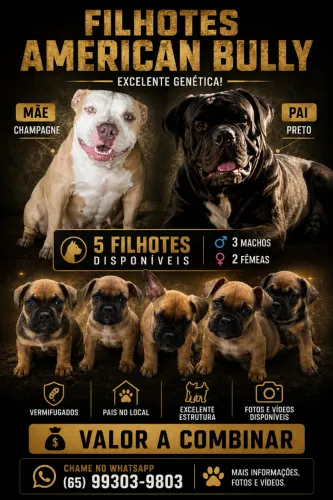 Promoção filhote 600 