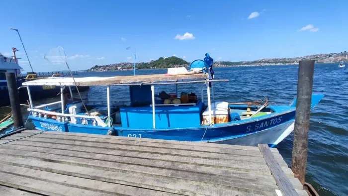 Barco fibra e madeira