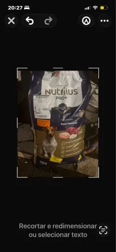 Ração de cachorro