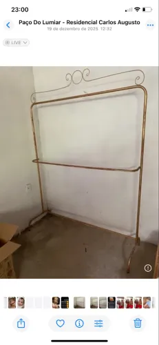 VENDO ARARA PARA LOJA