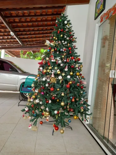 Árvore ? de natal 