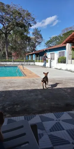 Caseiro ofereço-me 
