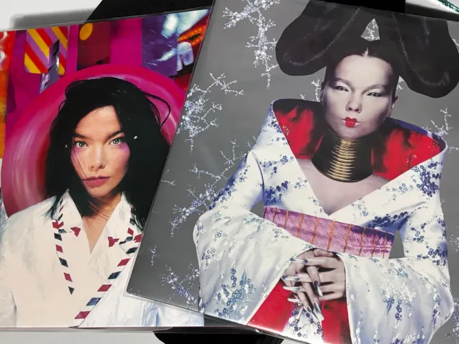 Disco de Vinil Post e Homogenic
