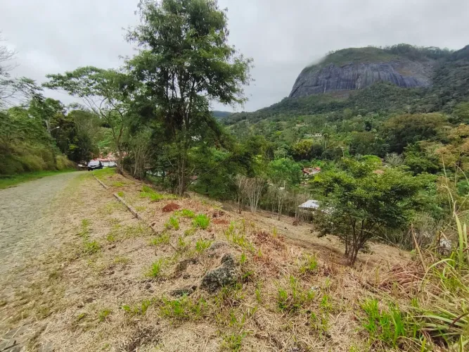 Terrenos na parada folly