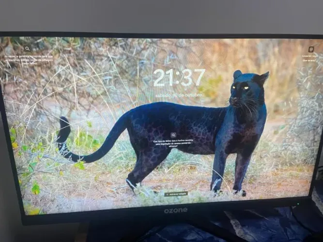Monitor Ozone Gamer 24 240Hz Full HD