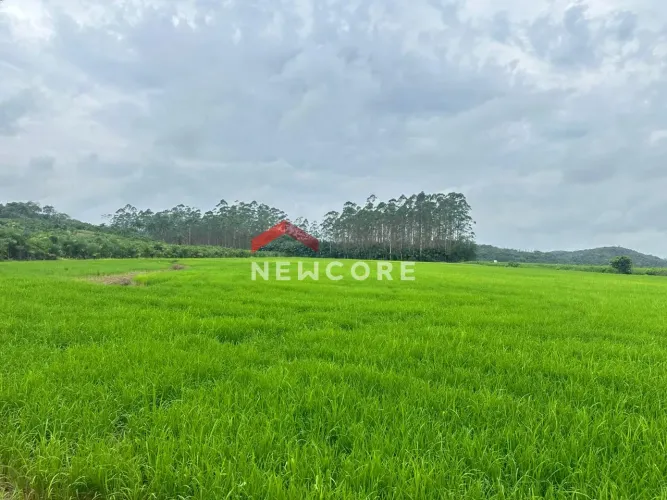 Fazenda em Rodovia SC-108 - Vila Nova - Joinville/SC