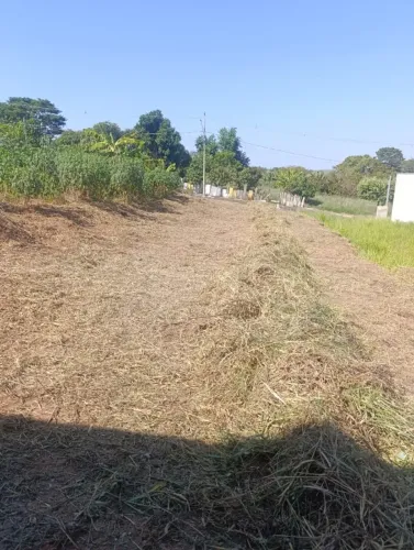 Terreno no Novo Prudentino - 272 m2 - 8 x 34 - Abaixo do preço