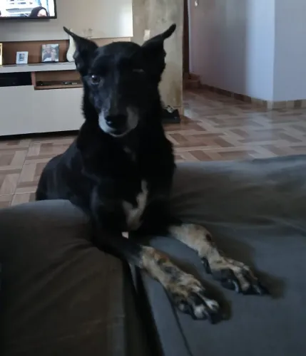 Doação
