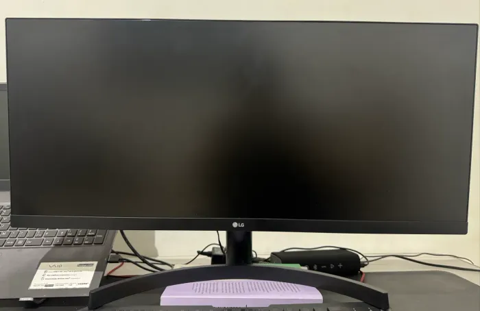 Monitor LG