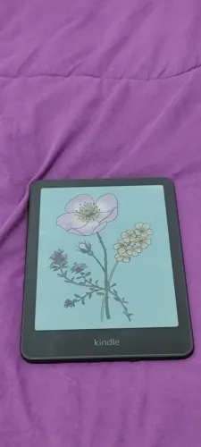 Kindle colorsoft signature bloqueado