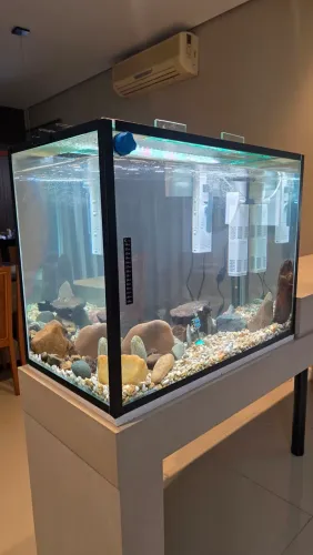 Aquario (NOVO)