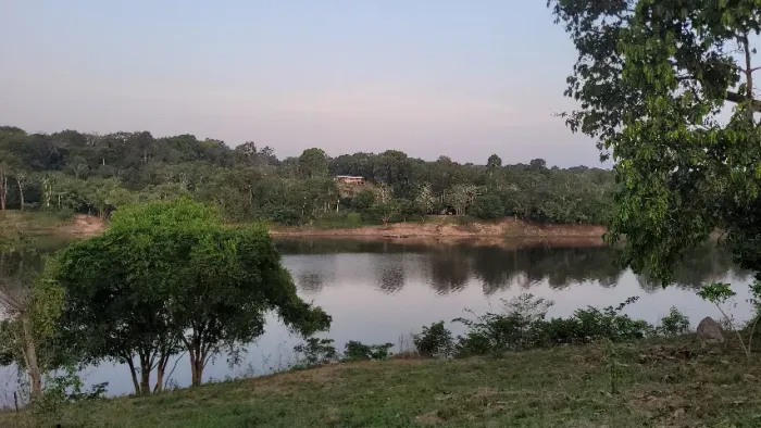 Vendo ou Troco 2 lindos sítios de frente pro rio Urubu Itacoatiara 100 mil cada