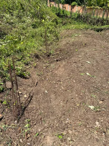 Terrenos na taiçoca de dentro no preçinho 14.900