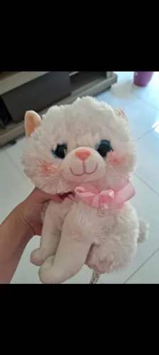 Gatinha de pelúcia