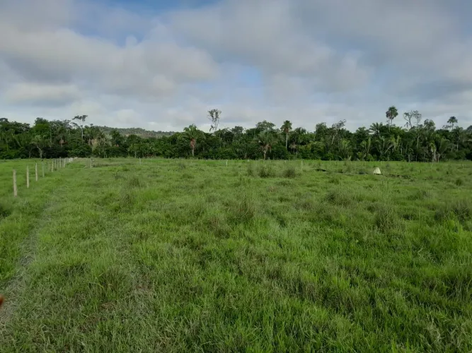? Sítio/Fazenda com 100 Alqueires Paulistas (242 hectares) - Juruena/MT