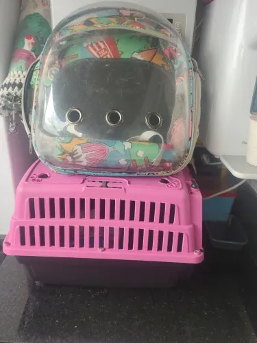Caixa e mochila de transporte de gatos
