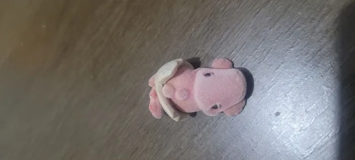 Kinder ovo baby dino fluffly 